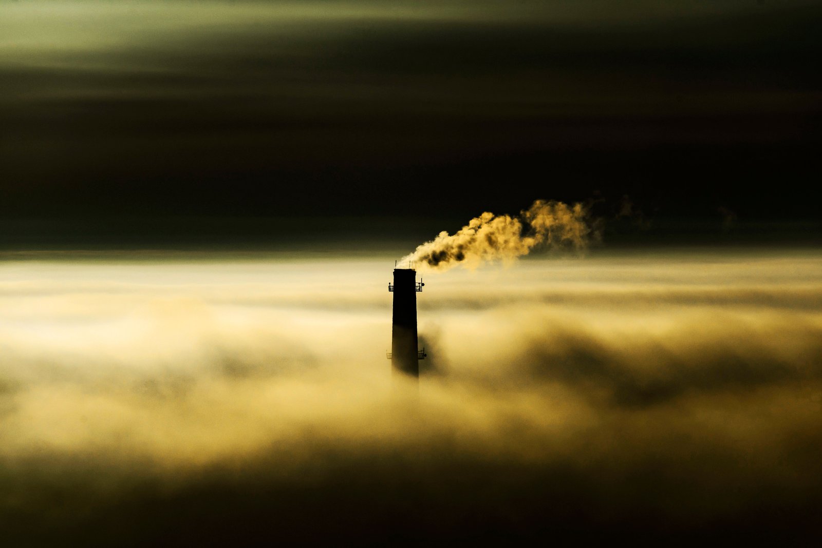 Carbon Credits & Environmental Science